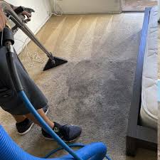 the 1 carpet cleaning in el segundo