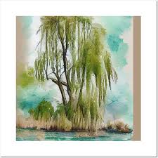 Weeping Willow Tree Watercolor Painting