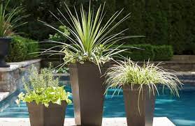 Benefits Of Planters To Your Landscape