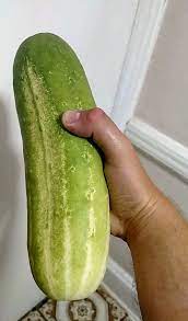 What to do with huge cucumbers? (cooking forum at permies)