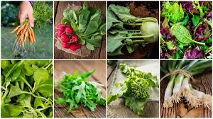 20 fast growing vegetables in 4 6 weeks