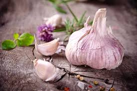 garlic can help you have healthy teeth