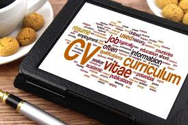 Professionally re write your CV   CV Writing Service        Great Reviews  