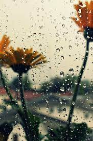 beautiful rain wallpaper wallpapers