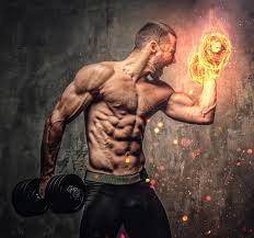 bodybuilding images free on
