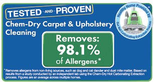 healthy carpet cleaning for your home