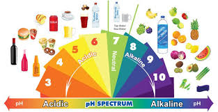 Know The Science Behind Acidic And Alkaline Foods Goqii