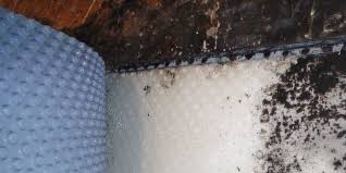 What causes mold to grow in basements? Mold In Basement How To Fix A Moldy Basement Environix