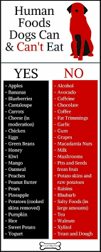 Dog Food Save Your Dogs Diet With This Chart And Get Him