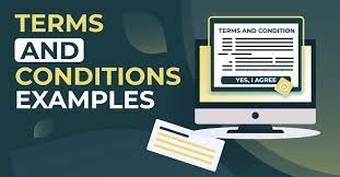 15 terms and conditions exles