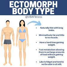the best ectomorph body type guide for