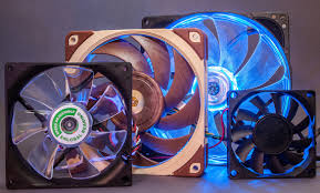 fan tutorial interesting facts about