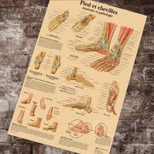Us 3 98 Medical Anatomy Anatomical Foot And Joints Of Foot Chart Classic Canvas Paintings Vintage Wall Posters Stickers Home Decor Gift In Painting