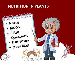 nutrition in plants cl 7 notes