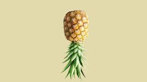 What Is The Significance Of An Upside Down Pineapple gambar png