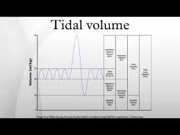 Tidal Volume