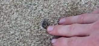 how to repair nasty carpet burns for a
