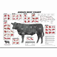 S667 Cattle Butcher Chart Beef Cuts Diagram Meat Custom Silk Art Poster Print