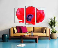 Red Poppy Petals And Whorl Deb Oppermann