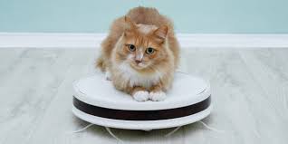 Best Roomba For Pet Hair In 2024