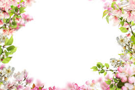 flower png images browse 1 129 490