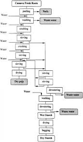 39 Circumstantial Digestive System Process Flow Chart
