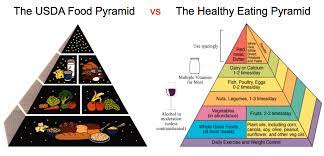 the usda food pyramid vs an evidence