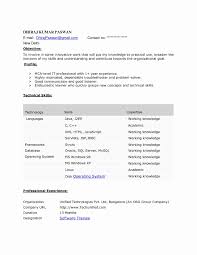 Sample Resume For It Professional With Year Experience New Resume