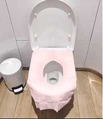 30pcs Disposable Toilet Seat Covers