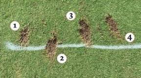 what-does-a-good-divot-look-like