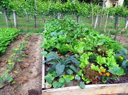what is permaculture and how can i