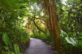 botanical gardens archives hawaii