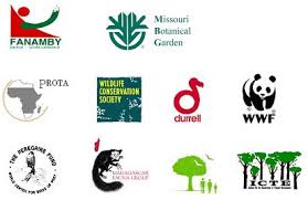 Resultado de imagen de Tree protection agencies