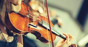 Violin And Cello Insurance Violinsurance gambar png