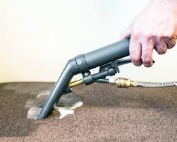 carpet cleaning carson city nv rug
