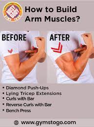how to build arm muscles expert