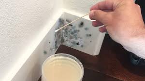 5 signs your home has mold and how to