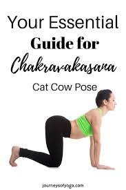 By flexing and extending the spine repeatedly, it can help to increase the circulation of spinal fluid, which further helps to maintain a healthy spine. Chakravakasana Yoga Pose A Wonderful Warm Up Journeys Of Yoga