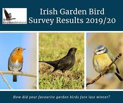 Irish Garden Bird Survey Results From