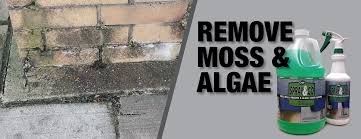 best moss and algae stain remover