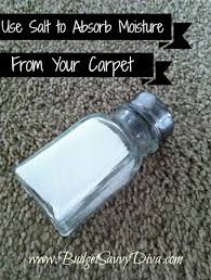 use salt to absorb moisture from carpet