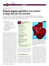 No dog breed is more predisposed to developing liver cancer than the other. Pdf Primary Hepatic And Biliary Tract Tumors In Dogs And Cats An Overview