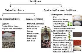 toxicology behind chemical fertilizers
