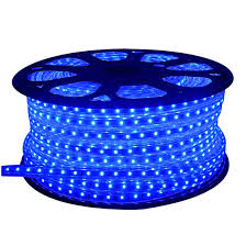 Blue Led Rope Light Outdoor Event