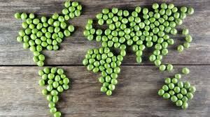 plant-based community peas in the globe