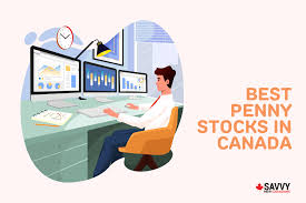 best penny stocks in canada for july 2023