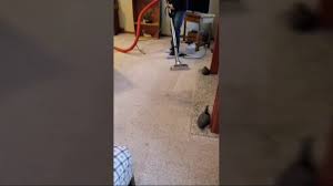 removing oily soot spots from carpet