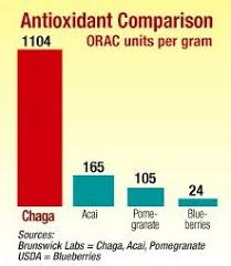 Chaga Mushrooms And Antioxidants Comparison Table Stuffed