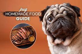 pug homemade dog food guide best