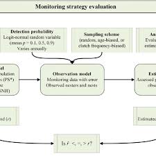 Flow Chart For Monitoring Strategy Evaluation Mose Green